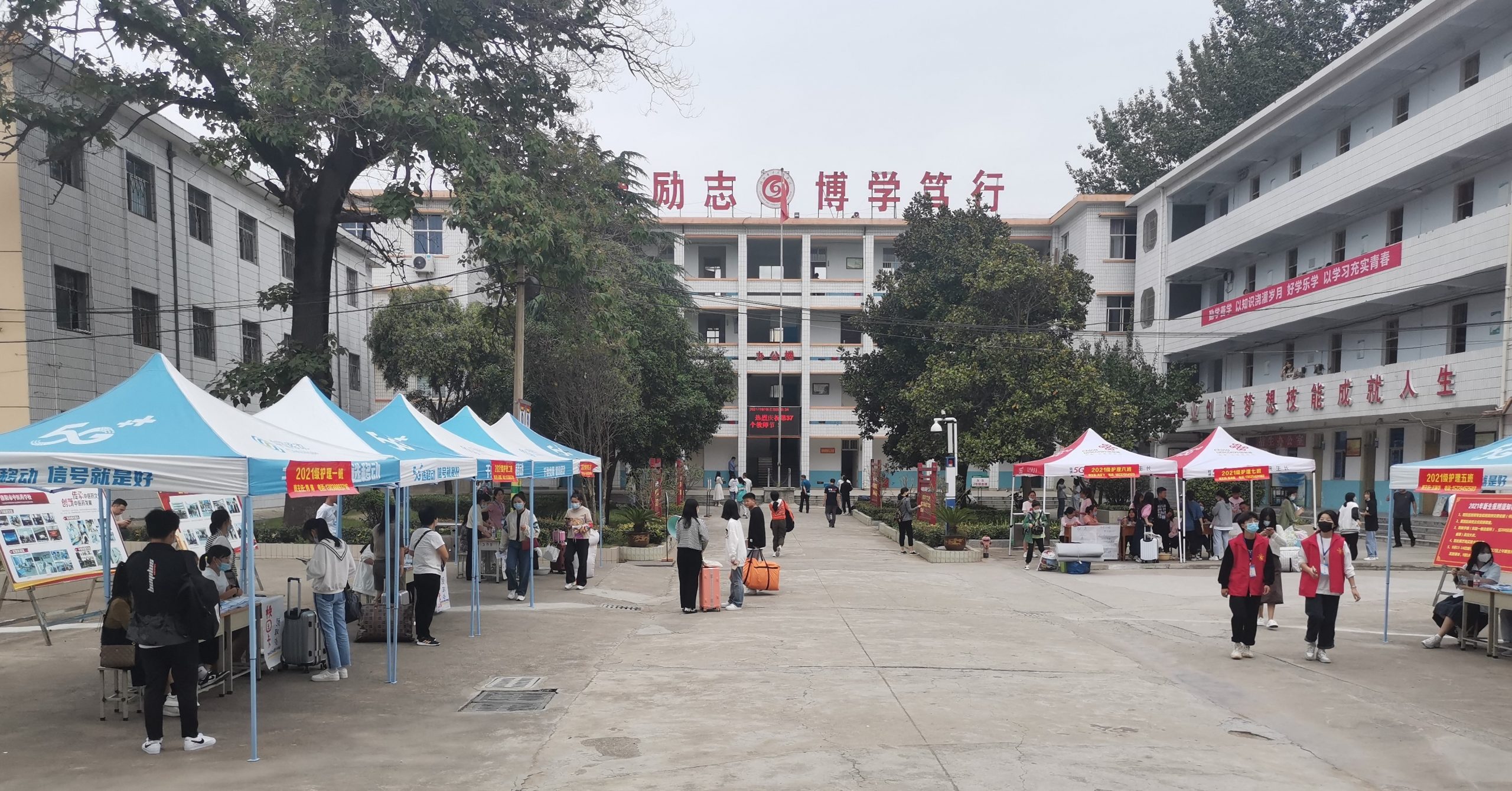 洛阳市中医学院图片